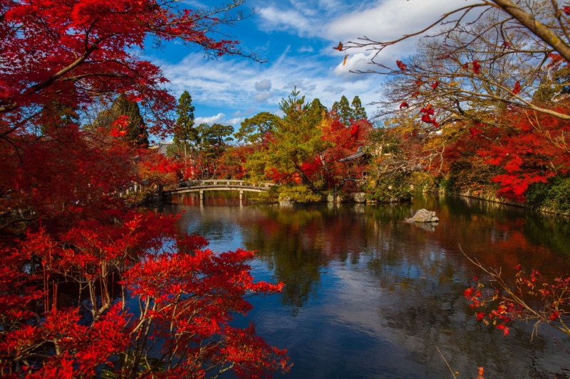orange color, nature, landmark, sky, tourism, bridge, growth, japanese, trees, sightseeing, z, cloud - sky, historic, tranquility, autumn collection, foliage