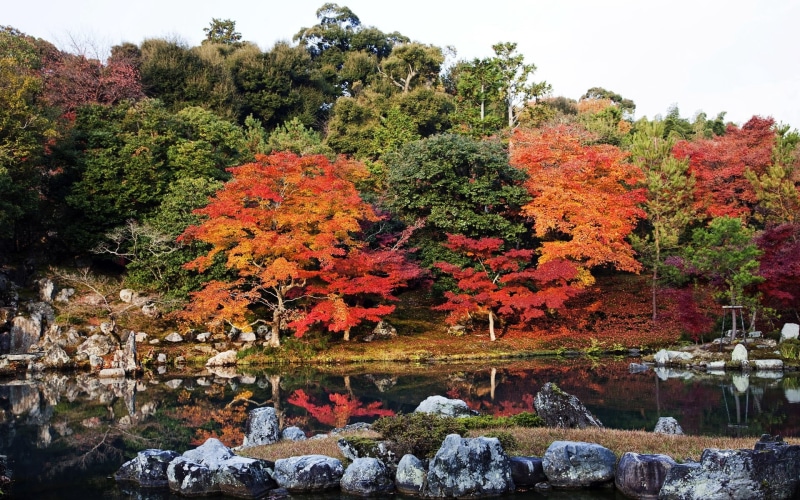 japan, landscape, growth, scenics, color Image, rock, park - Man Made Space, japanese Fall Foliage, colors, park, water, lush Foliage, tranquility, leaf
