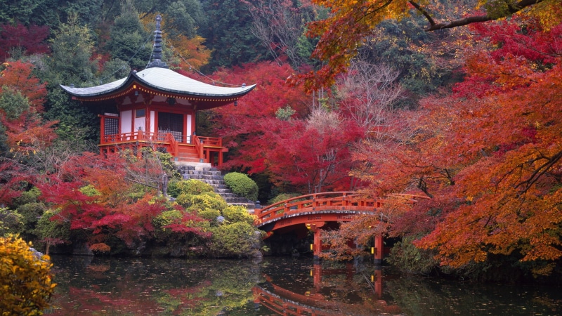 shrine, scenics, white, east Asian Culture, change, color Image, spirituality, japanese Fall Foliage, east Asia, built structure, multi Colored, 1080P