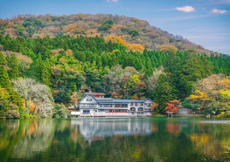 no People, beauty In Nature, white, october, growth, 4K, boathouse, color Image, yellow, house, japanese Fall Foliage, tree, famous Place, water, maple Tree