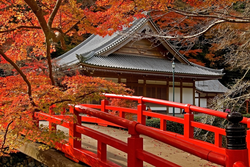 japanese Garden, gate, belief, architecture, japanese Ethnicity, no people, beauty In Nature, shrine, kyoto Prefecture, east Asian Culture, white, famous Place
