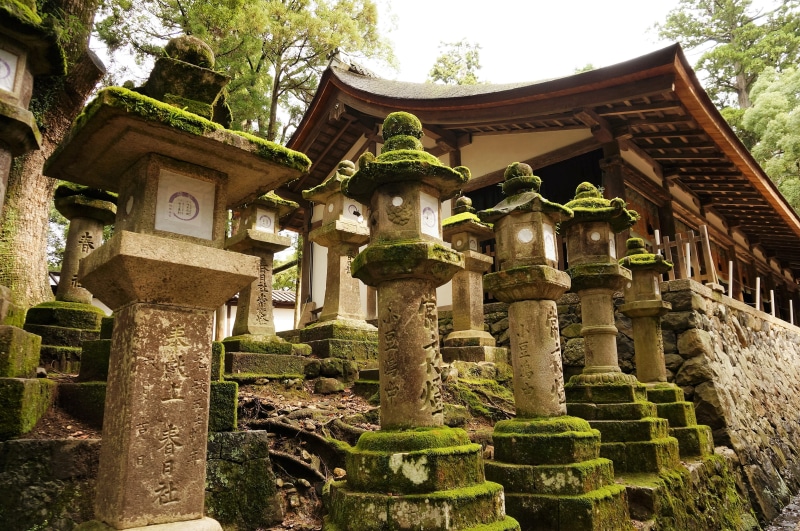 spirituality, stone lantern, lantern festival, japan, temple, architecture, tree, no people, belief, built structure, religion, history, kasuga taisha