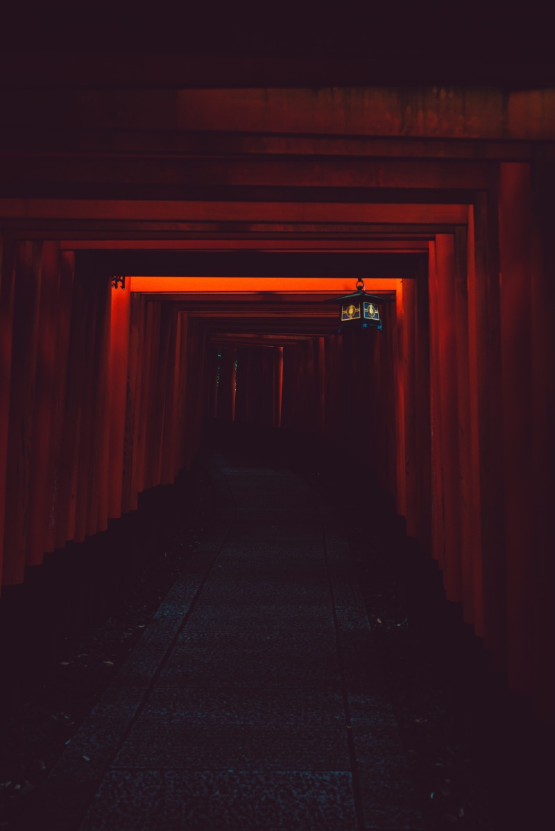 shadow, torii, sidewalk, spooky, night, 5K, path, entrance, indoors, japan, underground, torri, shrine, no People, shinto, vanishing Point, architecture