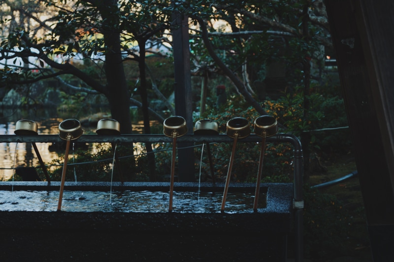 water, land, cassotte, pond, railing, architecture, built structure, day, purify, nature, chozuya, metal, japan, no people, cultural photography, fountain