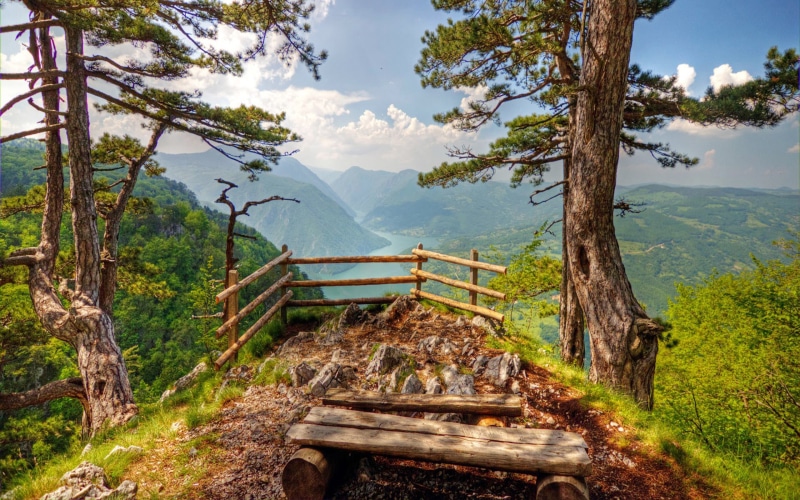 2K, tara, background, mountain, serbia, hd, landscapes