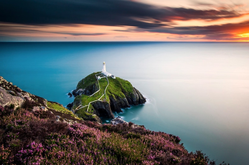 nature, cloud - sky, rock, sunset, 1080P, flowers, non-urban scene, no people, beach, lighthouse, green, idyllic, Wales, sky, horizon over water, grass