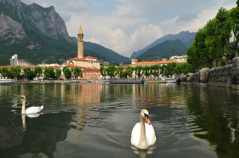 2K, Swan, lake Como, mountains, the sky, animal, swimming, the city, pticu, outdoors, architecture, Italy, Lecco, animal themes, mountain, Lombardy, group of animals