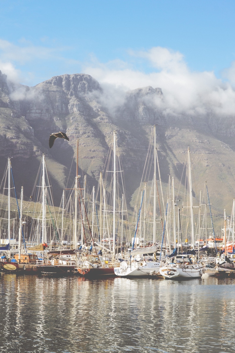 day, nautical vessel, yacht, transportation, cape town, outdoors, pole, harbor, water, port, mountain, mast, moored, marina, nature, hout bay, mode of transportation