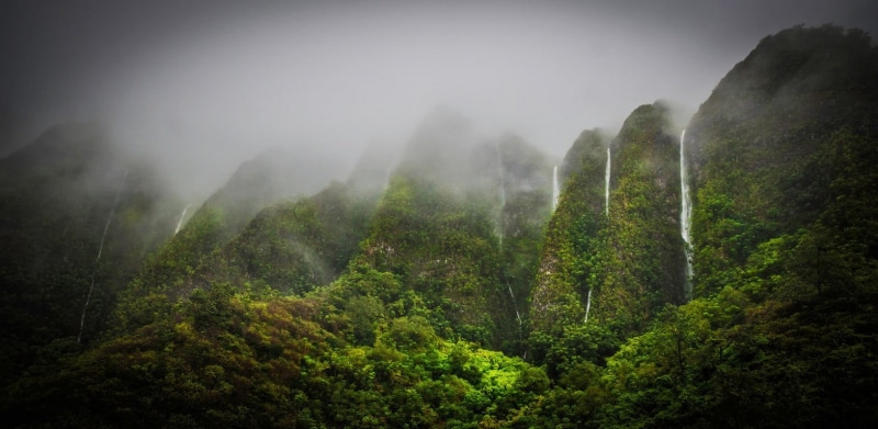 plant, 720P, oahu, sky, scenics - nature, tree, mountains, forest, nature, Hawaii, mountain, landscape, growth, beauty in nature, fog, tranquil scene