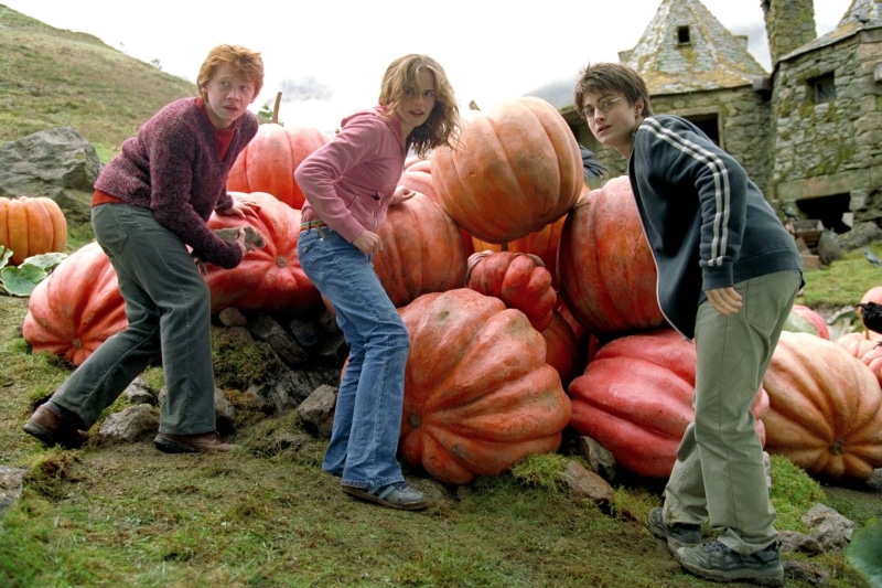 Harry Potter, Hermione Granger, Ron Weasley, Harry Potter and the Prisoner of Azkaban, 1080P