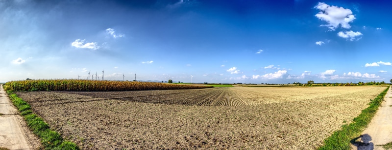 rotor blades, blue, wind energy, power generation, contrast, renewable energy, movement, no people, field, corn - crop, wind power, plant, growth, vegetable