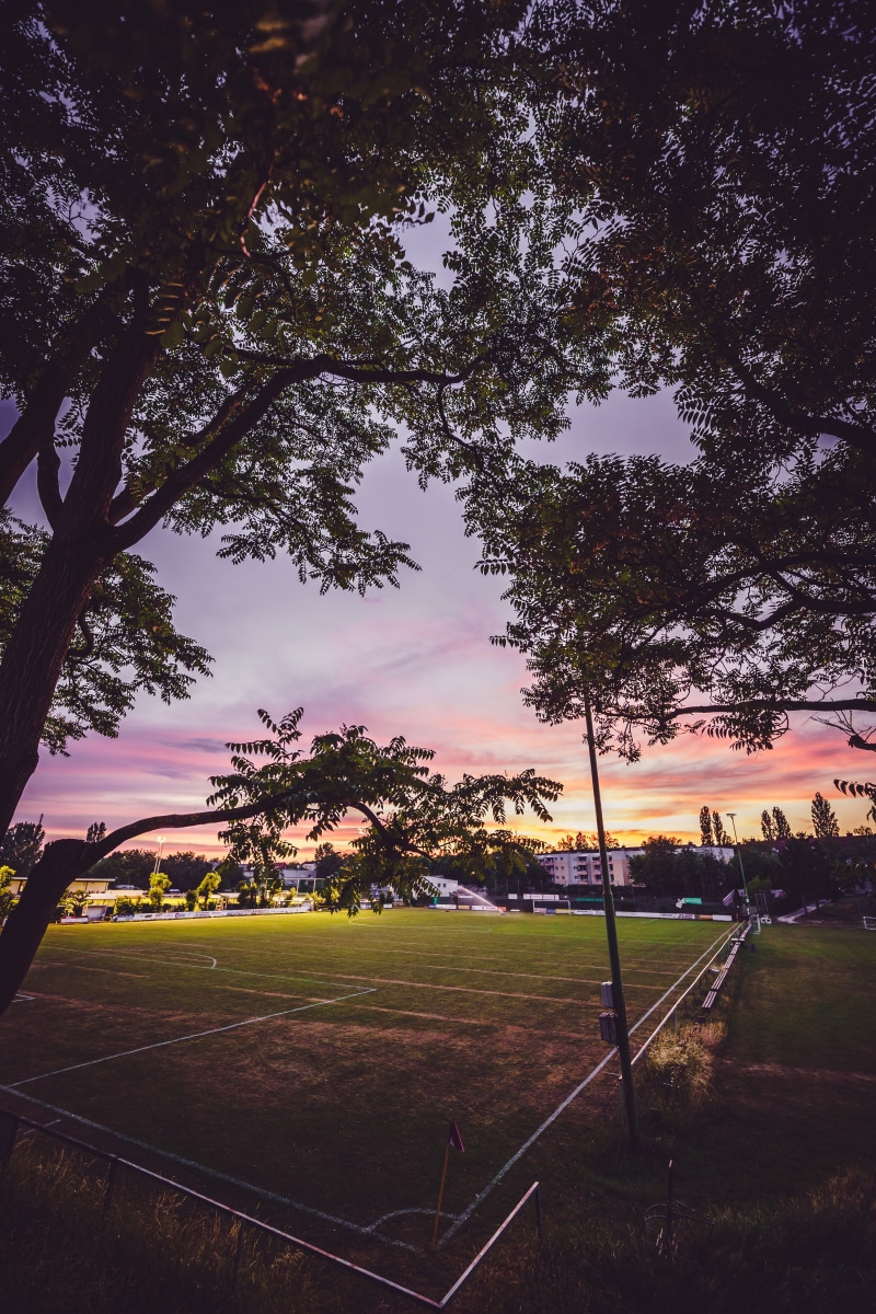 sky, trees, nature, grass, tree, field, beauty in nature, football, day, tranquility, city, outdoors, landscape, road, tranquil scene, 5K, cloud - sky