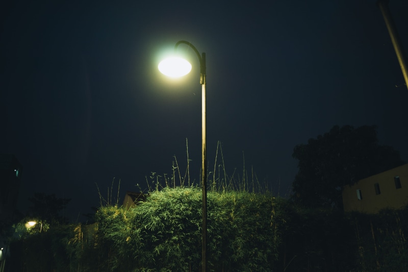 architecture, sky, no people, lamp, 2K, building exterior, street, indonesia, nature, tree, glowing, bluehour, electric light, light - natural phenomenon