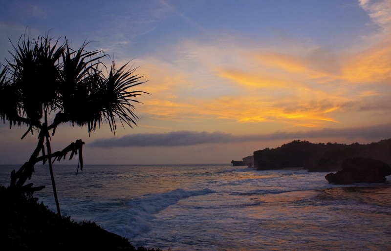 orange, tranquility, horizon over water, palm tree, tropical climate, silhouette, cloud - sky, bluehour, tree, nature, land, sky, beach, sklyline, tranquil scene