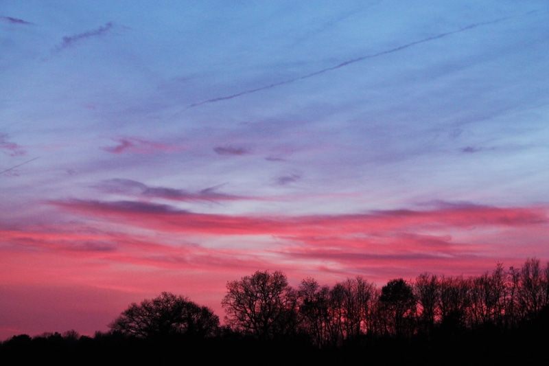 environment, romantic sky, no people, outdoors, beauty in nature, france, nature, tranquil scene, cloud - sky, sunset, trees, tree, saint-grué, tranquility