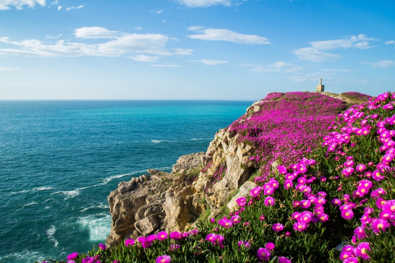 tourism, plant, Suances, day, horizon over water, idyllic, cloud - sky, beauty In Nature, no People, flowering plant, europe, blue, hill, Bay, rock - Object