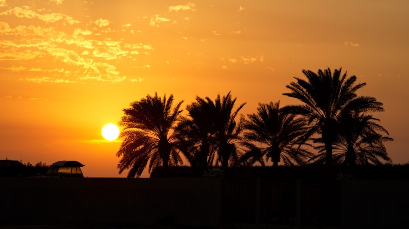 jeddah, no people, built structure, sky, 5K, building exterior, idyllic, golden, silhouette, architecture, tranquil scene, tropical climate, yellow, cloud - sky