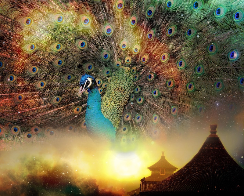 lifestyle, one animal, close-up, animal wildlife, feng shui, animals in the wild, vertebrate, day, blue, pagoda, multi colored, culture, beauty in nature
