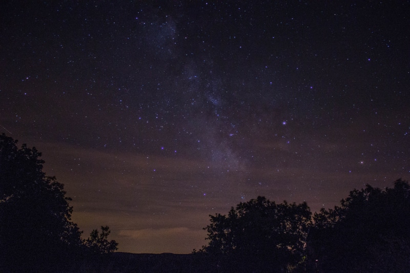 tranquil scene, tall, via lactea, estrella, 5K, beauty in nature, plant, growth, voie lactée, silhouette, tranquility, space, stars, dusk, no people, daytime