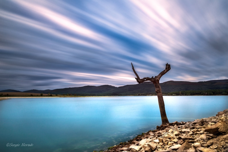 5K, pantano, larga, body of water, agua, lonely tree, ulibarri, landscape, time lapse photography, long  exposure, explorer, lonely  tree, nature, solitario