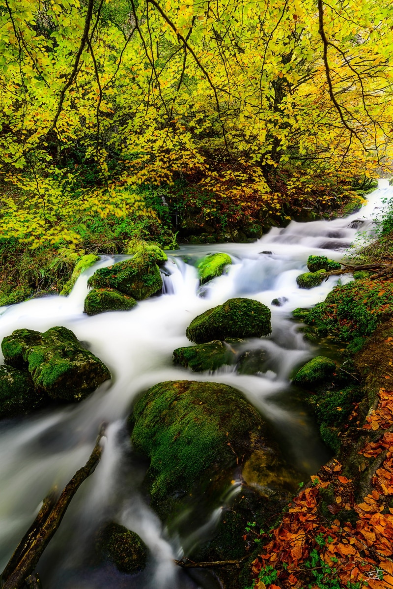 running, mountain running, scenics, stream, River, beauty In Nature, long  exposure, rio, highlights, nature, flow, spain, color, exposicion, euskadi, araia