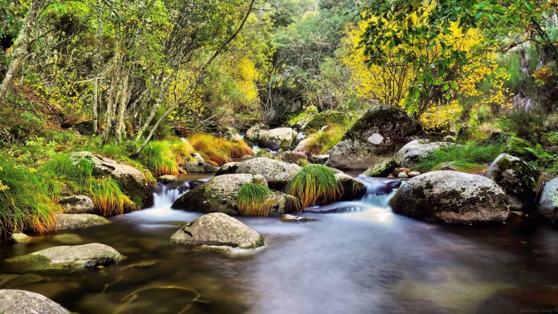 Salamanca, water, first days, stream, leaf, freshness, 4K, Castilla y León, tree, rock - Object, de, beauty In Nature, Spain, fall, waterfall, outdoors