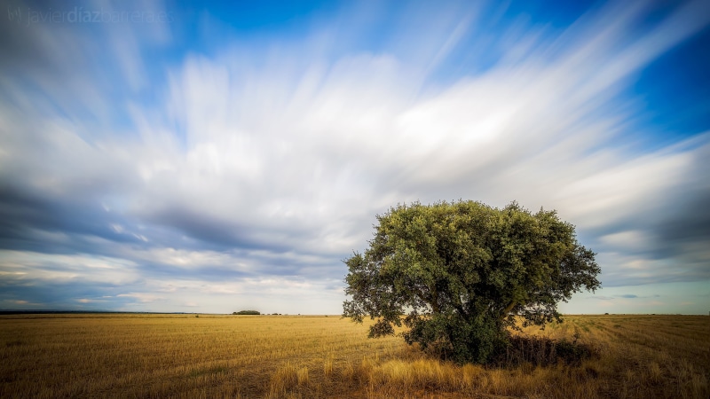 farm, summer, roble, blue, meadow, green, cloud - Sky, es, field, agriculture, daytime, leave, rural Scene, Long exposure, landscape, Larga, tree, de, outdoors