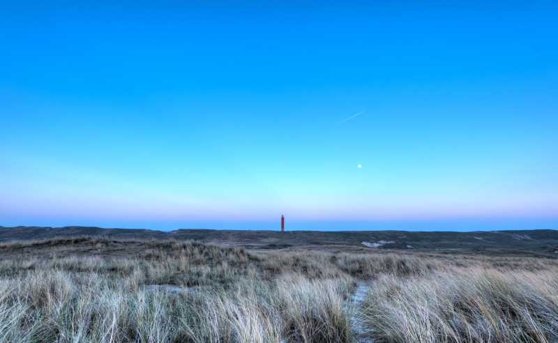 Nikkor, blue, crayon, landscape, red, sky, big blue sky, clear skies, Nikon, Julianadorp, dried, maritime, leaves, dunes, nature, 35mm, Noord-Holland, clear