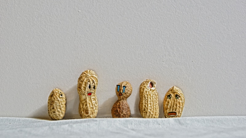 peanuts, decorative, Creative Commons, food, nuts, five, cultures, 4K, cc, decoration, doodles, assorted