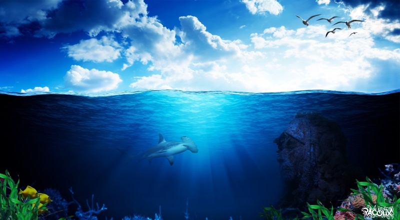 artwork, outdoors, nature, Creative, fullhd, water, cloud - sky, hammerhead, fish, 2K, sea, one person, scenics - nature, Aero, marine, blue, full length