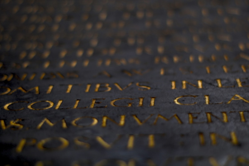 cologne, germany, letter, 5K, western script, no people, bokeh, information, close-up, selective focus, full frame, text, nature, black, street, backgrounds