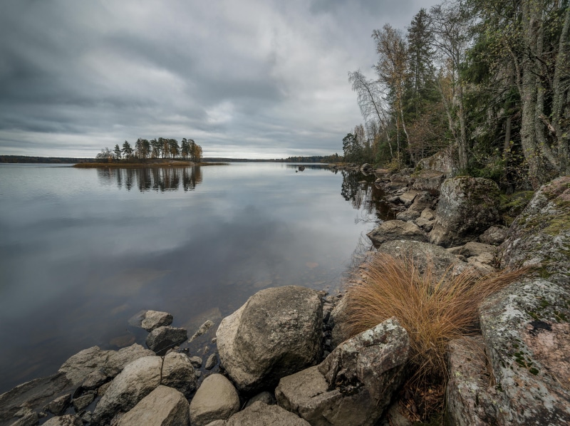 saint-petersburg, contrast, nature, russia, island, near, 5K, loneliness, manfrotto, leica, green, hiking, romantic, body of water, summer, scenics, beauty