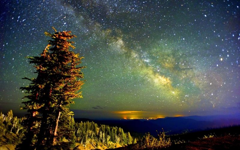 nature, astronomy, environment, growth, tranquility, beauty in nature, plant, tree, night sky screensavers backgrounds, idyllic, scenics - nature, star - space