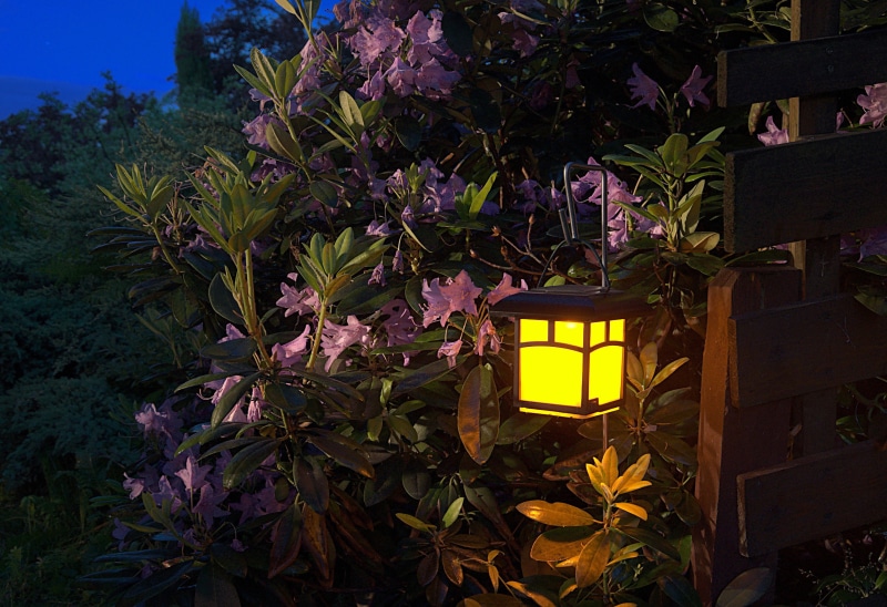 outdoors, freshness, front or back yard, steel, replacement lamp, tree, lighting, built structure, plant part, flowering plant, hanged, night, romantic