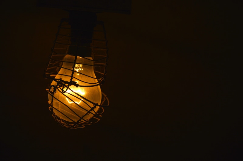 power supply, animal, electrical equipment, light bulb, darkroom, lighting equipment, incandescent, electric lamp, lamp, indoors, glowing, beer, lightbulb