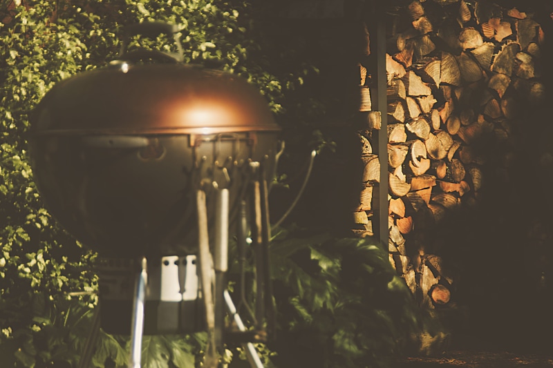 honeycomb, plant, electric lamp, electricity, hanging, lamp, sumer, outdoors, building, plant part, sunlight, theme park, light, nature, 4K, lampshade