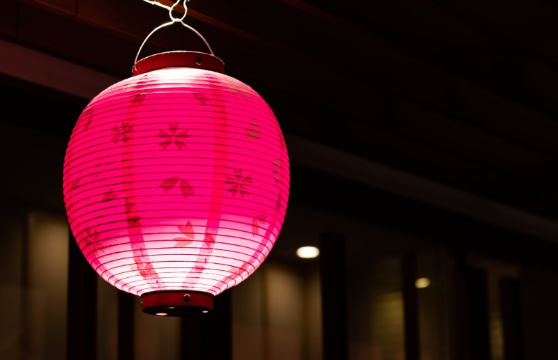 lampshade, animal, pink color, no people, celebration, jay, lighting equipment, japan, diwali, decoration, low angle view, chinese lantern festival, fitness