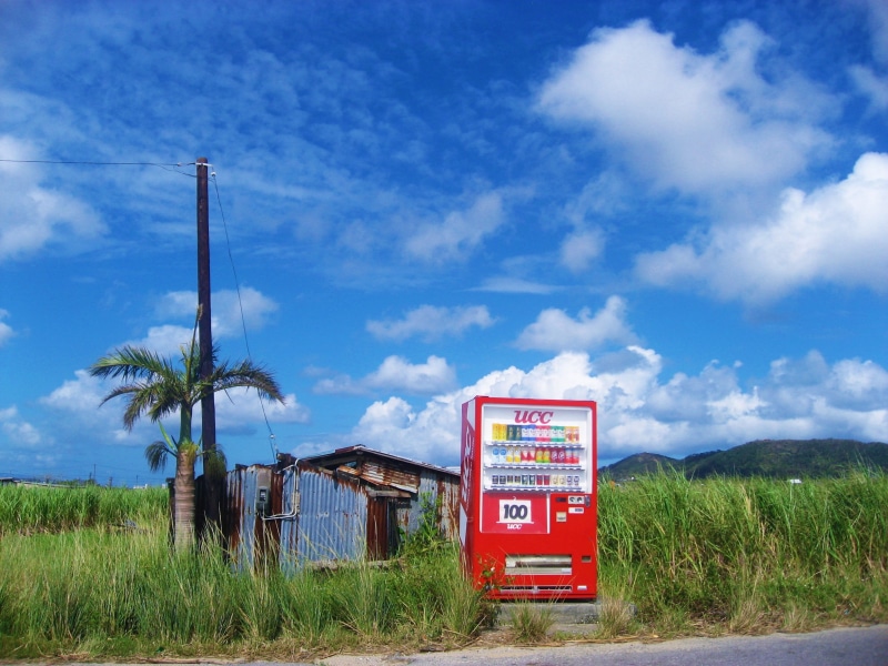 environment, rural scene, communication, day, vending machine, telephone booth, blue sky, outdoors, text, blue, okinawa, landscape, telephone, red, palm trees