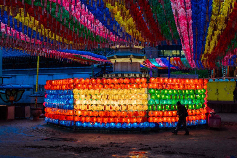 lamp, outdoors, for sale, person, citrus fruit, market, market stall, indoors, night, retail display, assorted, arrangement, chinese new year, plant, monitor