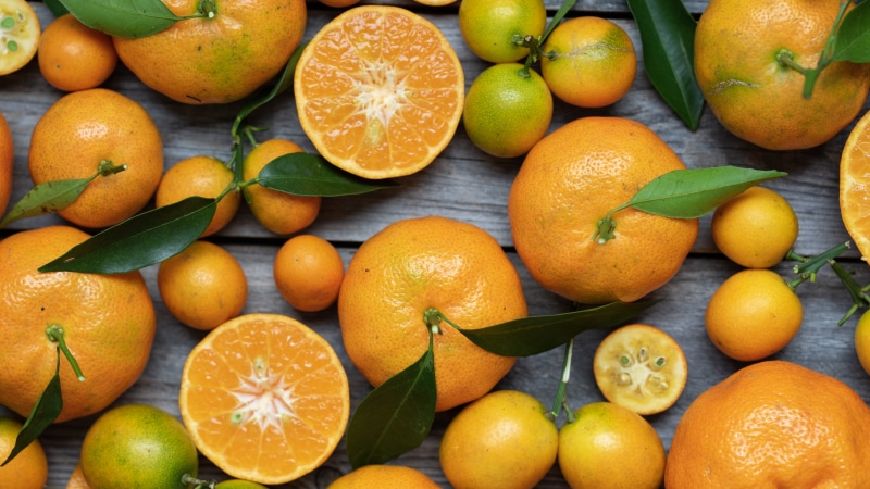 lemon, freshness, still life, bowl, blossom, persimmon, fruit, wellbeing, orange - fruit, fruits, pomelo, plant, blueberry, large group of objects, orange color