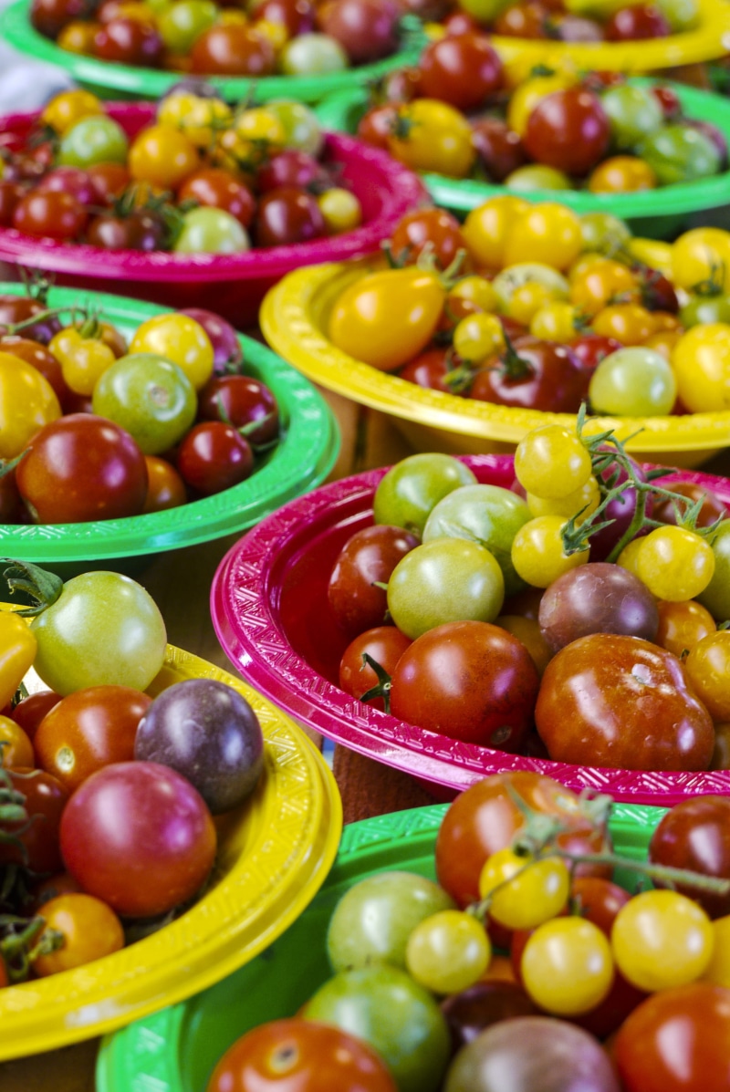 farm, fruit, wellbeing, snack, produce, restaurant, blur, consumerism, plant, market stall, color, assorted, 4K, choice, citrus fruit, food, flora, cherry