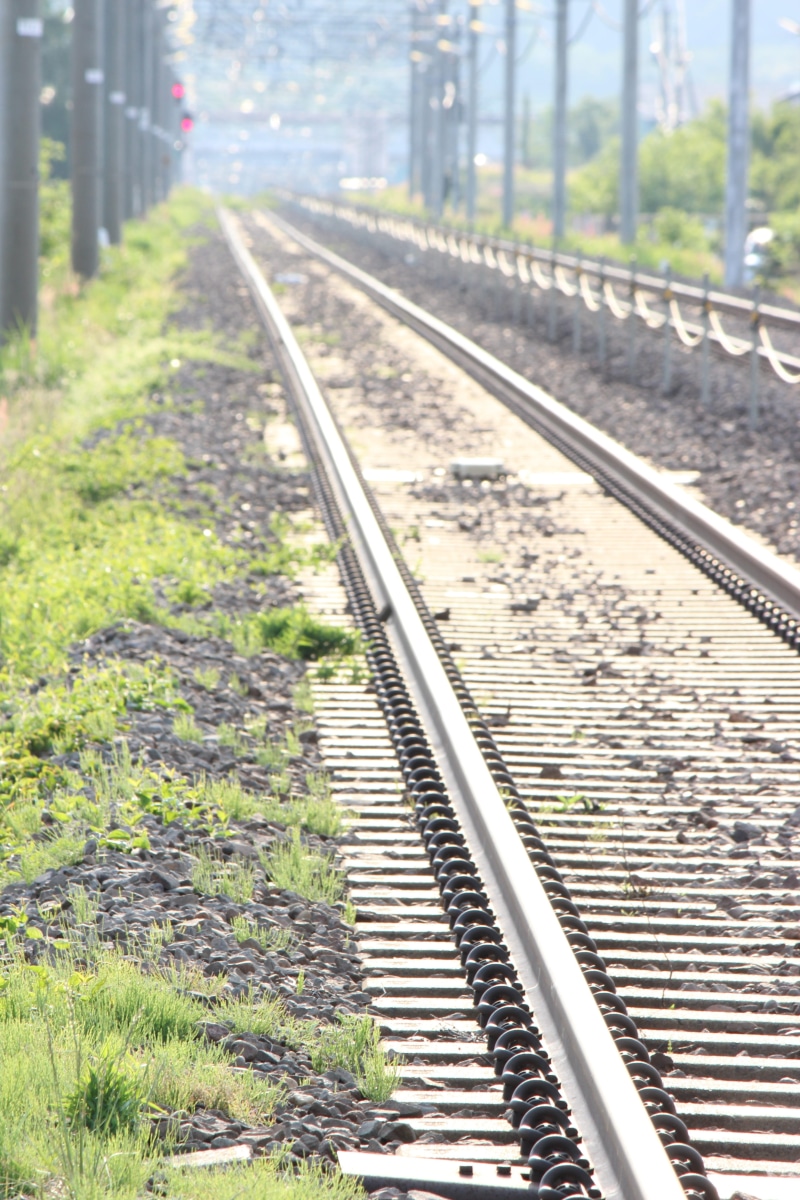 plant, nature, railroad, diminishing perspective, metal, Yamagata Shinkansen, transportation, Ou Main Line, 5K, track, mode of transportation, direction