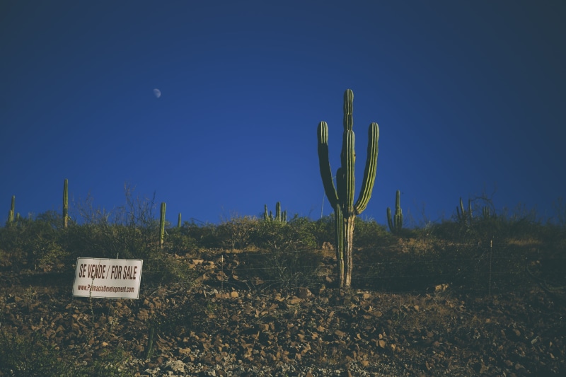 la paz, tranquil scene, interesting, plants, desert, communication, plant, eventing, blue, growth, cactu, field, green, land, cactus, sky, arid climate