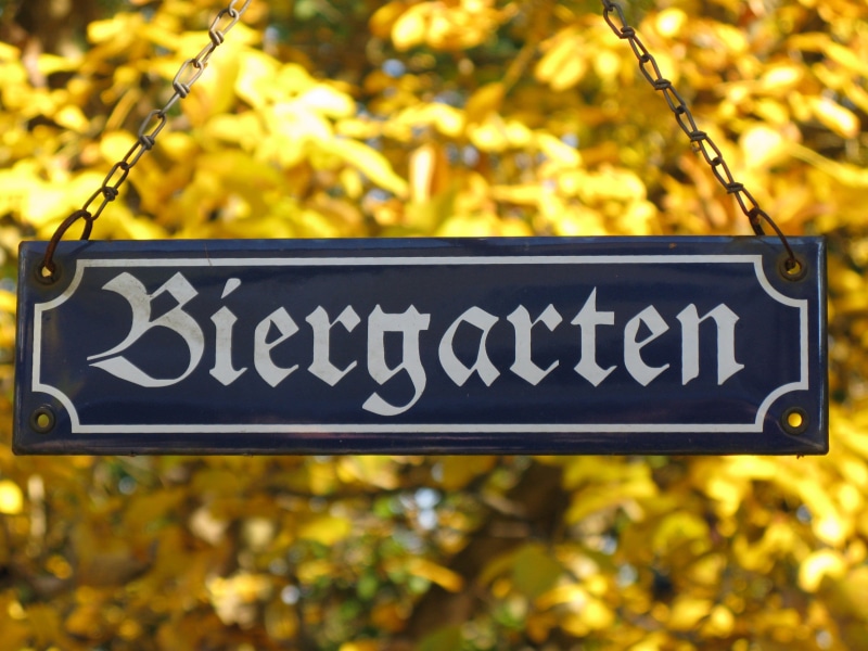 plant, communication, low angle view, focus on foreground, outdoors, plant part, text, message, shield, day, signboard, close-up, tree, beer garden, nature
