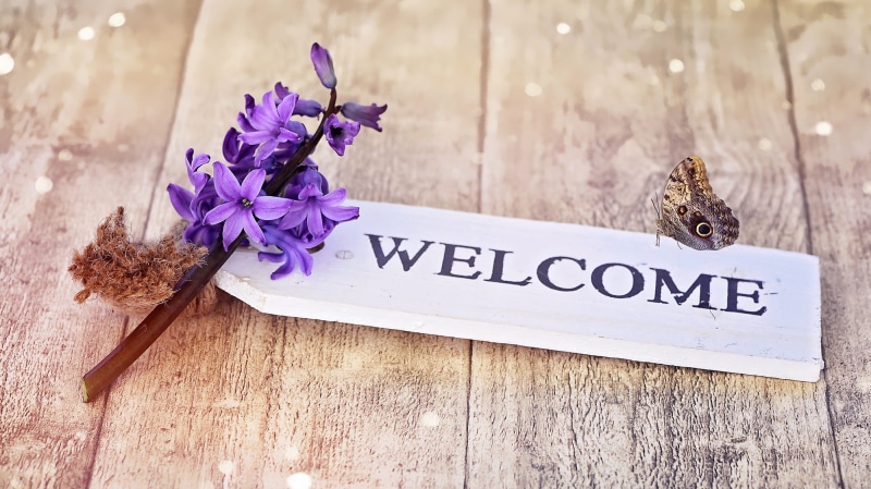 signage, communication, freshness, close, still life, fragrant flower, close-up, hyacinth, flower, 1080P, purple, beauty in nature, table, owl, nature
