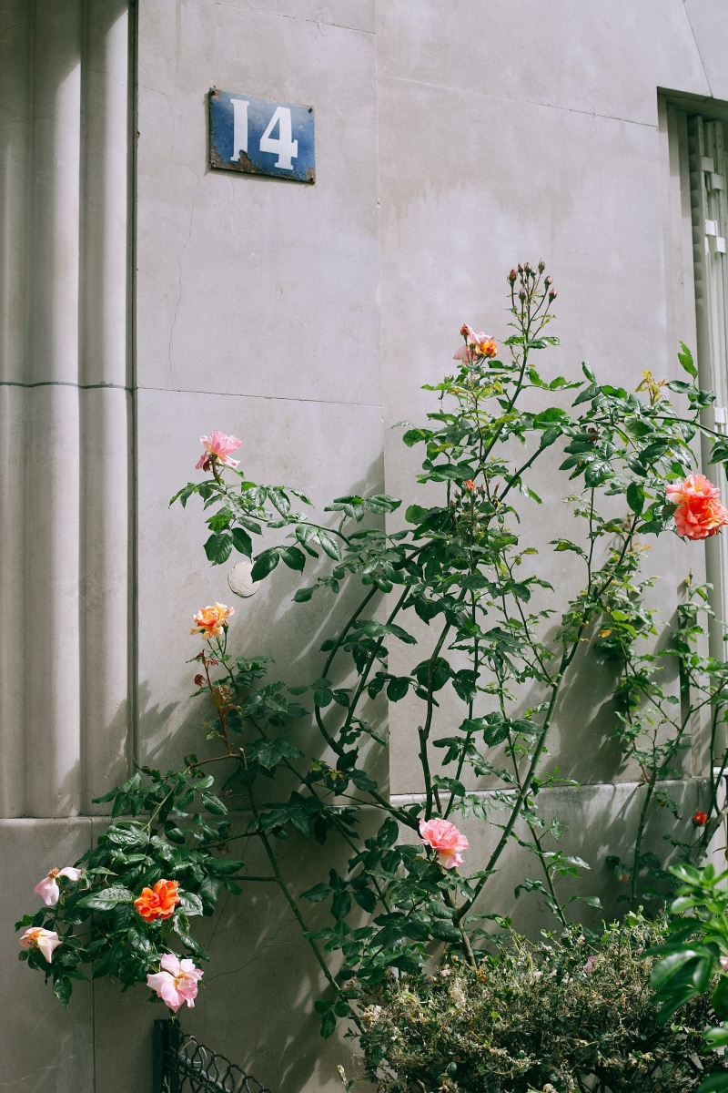 display, no people, lcd screen, screen, flagstone, potted plant, outdoor, poppy, red, electronics, freshness, building, monitor, flower pot, day, plant