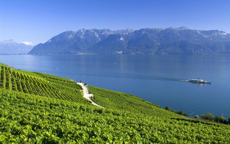 1080P, Switzerland, Lake, Alps, Mountains, Summer