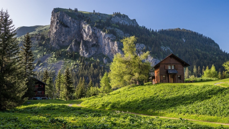 House, Mountains, Alps, Trees, Valais, wooden, Switzerland, 2K, tall, brown, Grass, green