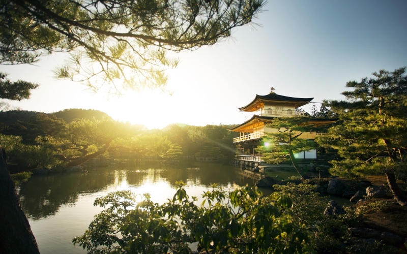 beauty in nature, sky, no people, reflection, Kyoto, water, nature, spirituality, tree, growth, building exterior, Japan, architecture, sunlight, trees