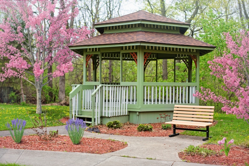 ornamental garden, landscape, garden path, wooden, outdoors, no people, flowering plant, growth, springtime, built structure, bench, grass, surrounded